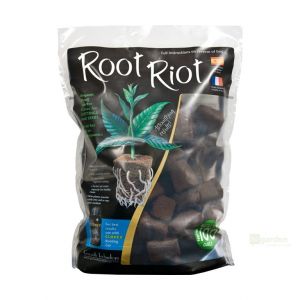 Root Riot 24 - sadbovací kostky v sadbovači